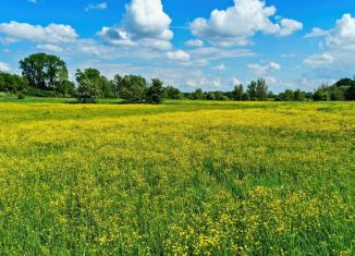 Участок на продажу, 100 сот., Тульская область, Тульская улица