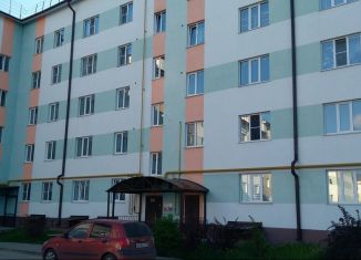 Квартира в аренду студия, 30 м2, Нижегородская область, Республиканская улица, 95