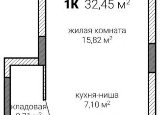 Продам квартиру свободная планировка, 32.5 м2, Нижний Новгород, Советский район