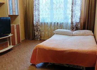 Сдача в аренду 1-комнатной квартиры, 30 м2, Псков, Юбилейная улица, 93