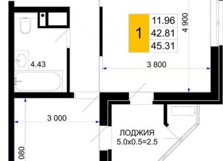Продается 1-комнатная квартира, 45.3 м2, Краснодар, Прикубанский округ