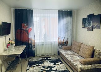 Квартира в аренду студия, 18 м2, Республика Башкортостан, улица Аксакова, 58