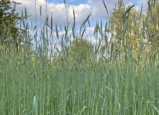Продажа участка, 14 сот., деревня Кривоносово