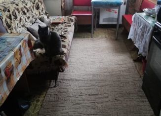 Продается дом, 61 м2, село Пантусов, Школьная улица, 7А