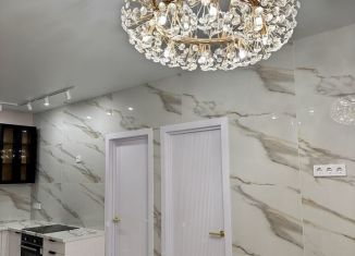 Продается двухкомнатная квартира, 47.5 м2, село Осиновая Гора, улица Аркадия Шипунова, 10