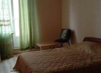 1-комнатная квартира в аренду, 31 м2, посёлок Шушары, Московское шоссе, 264