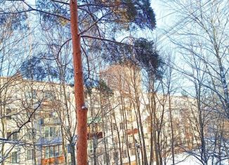 Продается трехкомнатная квартира, 58.6 м2, Санкт-Петербург, Товарищеский проспект, метро Улица Дыбенко