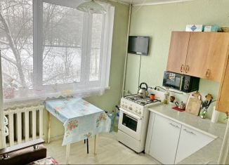 Продается 1-комнатная квартира, 35 м2, деревня Разбегаево, деревня Разбегаево, 53