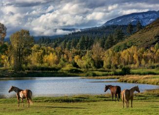 Продажа земельного участка, 1100 сот., село Арский Камень