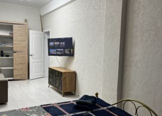 Сдам 1-комнатную квартиру, 45 м2, Дагестан, проспект Расула Гамзатова, 64