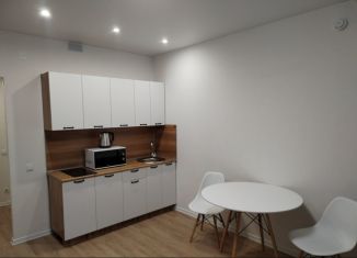 Квартира в аренду студия, 23 м2, Люберцы, улица Лётчика Ларюшина, 2, ЖК Жулебино Парк