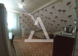Квартира в аренду студия, 20 м2, Самара, Бобруйская улица, 118, Советский район
