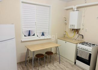 Сдается в аренду 1-ком. квартира, 35 м2, деревня Куюки, улица 21-й Квартал, 1