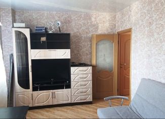 Аренда 1-комнатной квартиры, 40 м2, Екатеринбург, Шадринский переулок, 14к1, Шадринский переулок