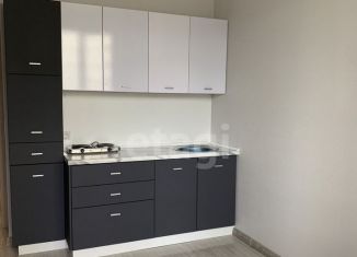 Продается квартира студия, 19.1 м2, деревня Дударева, улица Сергея Джанбровского, 1