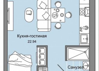 Продается квартира студия, 30.2 м2, Киров, Ленинский район, улица Дмитрия Козулева, 2к3