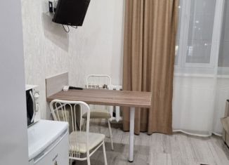 Сдается квартира студия, 16 м2, Татарстан, улица Сибирский Тракт, 22