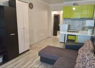 Продается квартира студия, 27 м2, Анапа, улица Ленина, 185Ак2, ЖК Метеора