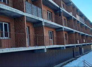 Продается квартира студия, 22 м2, рабочий поселок Маркова, микрорайон Берёзовый, 253