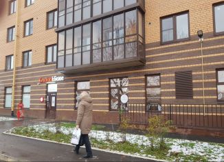 Продаю помещение свободного назначения, 258 м2, Гатчина, улица Хохлова, 20