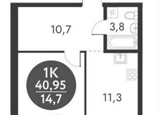 Продам 1-ком. квартиру, 41 м2, Новосибирск, метро Золотая Нива