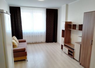 Сдам в аренду квартиру студию, 30 м2, Екатеринбург, 2-я Новосибирская улица, 12, Чкаловский район