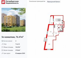 Продажа 2-комнатной квартиры, 76.5 м2, Санкт-Петербург, метро Озерки