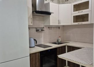 Сдается в аренду квартира студия, 25 м2, Кудрово, Пражская улица, 15