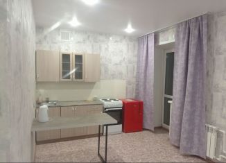 Сдам в аренду квартиру студию, 28 м2, Искитим, Советская улица, 245/2