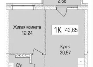 1-комнатная квартира на продажу, 43.7 м2, Новосибирск, метро Заельцовская