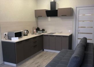 Сдается в аренду 1-комнатная квартира, 45 м2, Анапа, Владимирская улица, 142, ЖК Триумф