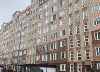 Продажа квартиры студии, 23 м2, рабочий посёлок Лопатино, Сухановская улица, 15, ЖК Государев Дом