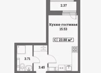 Продаю квартиру студию, 22.7 м2, Мурино, ЖК Урбанист, Ручьёвский проспект, 6