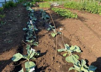 Продается дача, 10 м2, СНТ Кирпичник