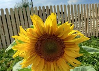 Продам дом, 20 м2, СНТ Заречный, 6-я улица