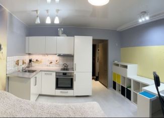 Квартира в аренду студия, 22.5 м2, Мурино, улица Шувалова, 2, ЖК Мой Город