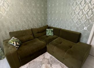 Продается двухкомнатная квартира, 50.9 м2, село Осиновая Гора, улица Аркадия Шипунова, 40, ЖК Времена Года