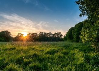 Продажа участка, 20 сот., село Нижний Ольшанец