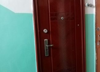 Продажа двухкомнатной квартиры, 42.8 м2, поселок Таёжный, Центральная улица, 17