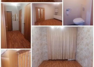 Сдаю 2-ком. квартиру, 50 м2, Красноярск, Соколовская улица, 80А, ЖК Радужный