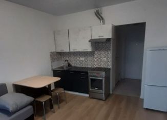 Сдаю в аренду квартиру студию, 25 м2, Котельники, ЖК Белая Дача Парк, микрорайон Парковый, 1к20