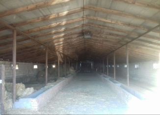 Продам земельный участок, 500 сот., село Озрек