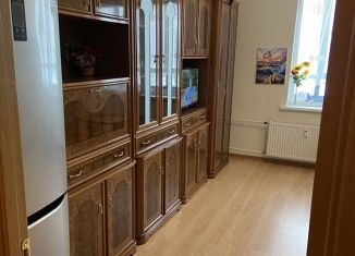 Квартира на продажу студия, 25 м2, Мурино, проспект Авиаторов Балтики, 7, ЖК Виктория