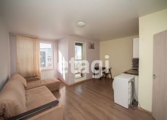 Продам квартиру студию, 26 м2, Санкт-Петербург, метро Елизаровская, улица Крыленко, 1к1с3