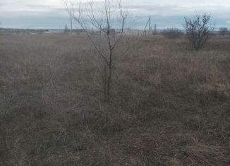 Продажа земельного участка, 10.2 сот., дачный массив Новозбурьевка