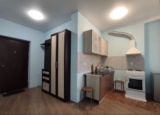 Аренда квартиры студии, 24 м2, Ростов-на-Дону, ЖК Манхэттен О2, проспект Шолохова, 211/2