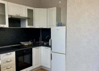 Сдам квартиру студию, 25 м2, Санкт-Петербург, улица Бабушкина, 82к3, метро Пролетарская