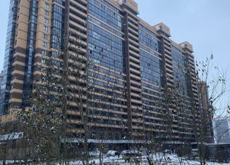 Продажа квартиры студии, 28 м2, Мурино, улица Шувалова, ЖК Созвездие