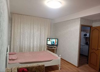 Аренда 1-комнатной квартиры, 33 м2, Кисловодск, улица Андрея Губина, 15