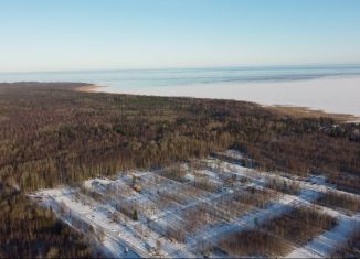 Продается земельный участок, 6.1 сот., городской посёлок имени Морозова, улица Хесина